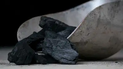 В Жетысуской области сельчане пожаловались на подорожание угля почти в полтора раза