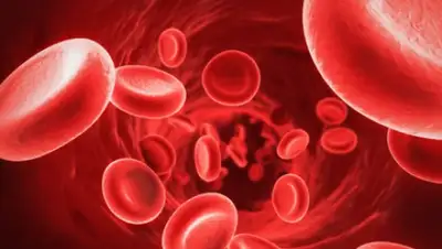 Zakon.kz, фото - Новости Zakon.kz от 01.05.2015 05:34