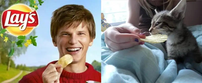 alt, фото - Новости Zakon.kz от 23.06.2015 18:28