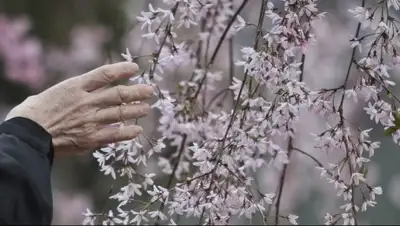 Zakon.kz, фото - Новости Zakon.kz от 21.03.2015 17:08