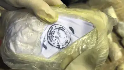 КНБ, фото - Новости Zakon.kz от 15.12.2020 18:38