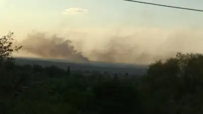 Facebook/ Бася Израиловна, фото - Новости Zakon.kz от 17.05.2019 22:01