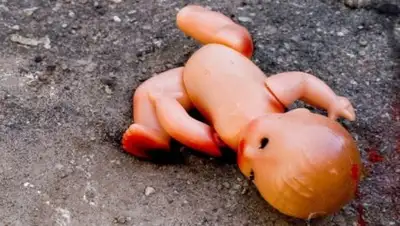 Zakon.kz, фото - Новости Zakon.kz от 10.12.2017 20:07