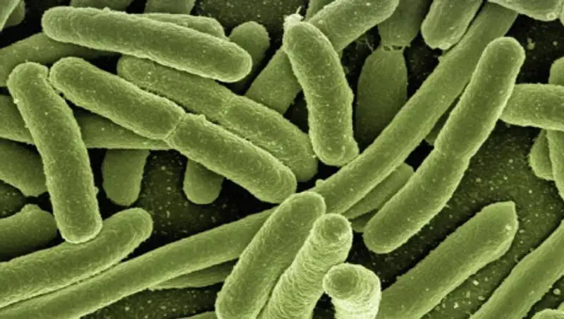 Коронавирус в стране не зарегистрирован - Минздрав Казахстана