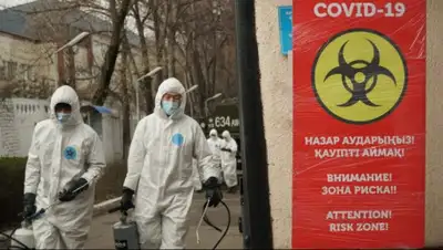 Алматы.тв, фото - Новости Zakon.kz от 12.04.2020 09:23