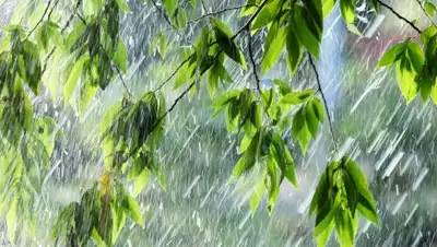 Zakon.kz, фото - Новости Zakon.kz от 15.08.2017 12:00