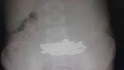 Акимат Нур-Султана, фото - Новости Zakon.kz от 16.09.2021 11:38