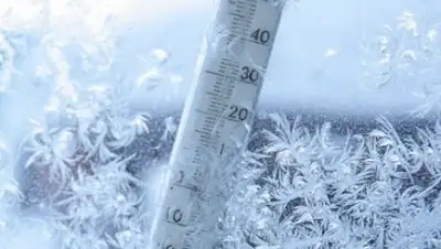 Zakon.kz, фото - Новости Zakon.kz от 08.02.2017 14:06