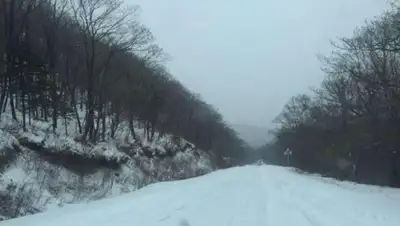 ДП Костанайской области, фото - Новости Zakon.kz от 08.01.2020 12:09