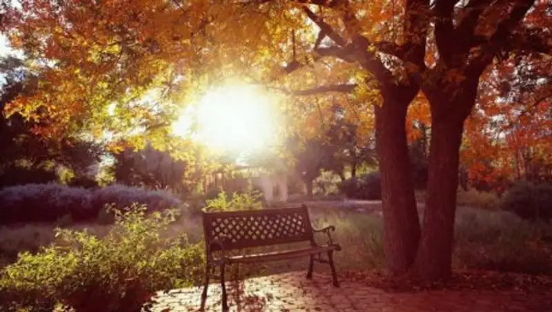 На большей части Казахстана ожидается погода без осадков