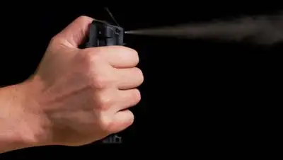 Kursiv.kz, фото - Новости Zakon.kz от 25.12.2020 13:23