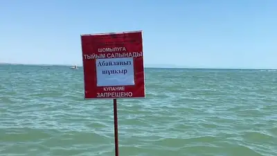 В Жетысуской области спасатели вытащили из воды мальчика