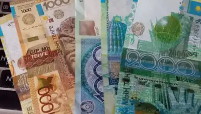 zakon.kz, фото - Новости Zakon.kz от 18.04.2020 11:28