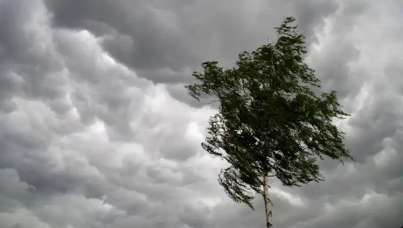 В трех областях Казахстана будет штормить