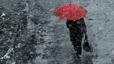 Zakon.kz, фото - Новости Zakon.kz от 17.10.2016 12:00