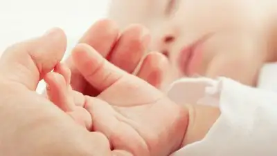 today.kz, фото - Новости Zakon.kz от 09.01.2018 11:09