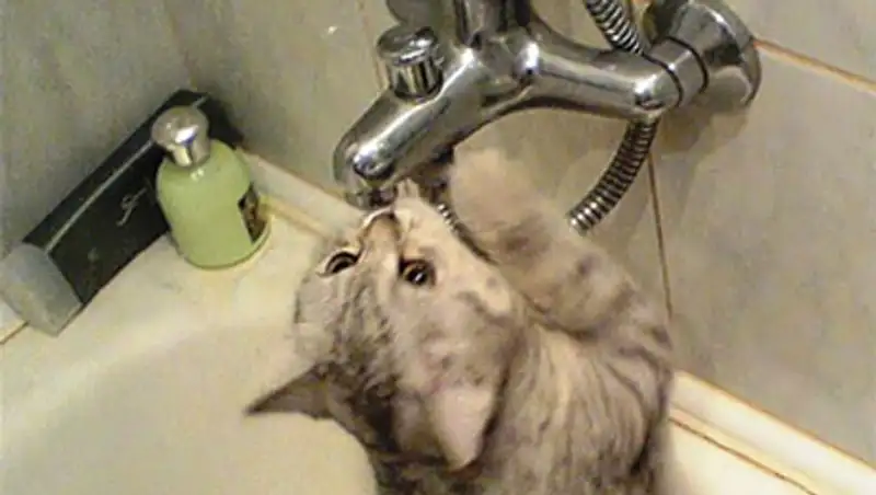 В Алматы временно отключат холодную воду в некоторых районах города