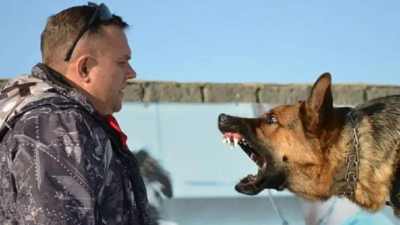 Андрей Маликов с собакой , фото - Новости Zakon.kz от 28.03.2022 17:38