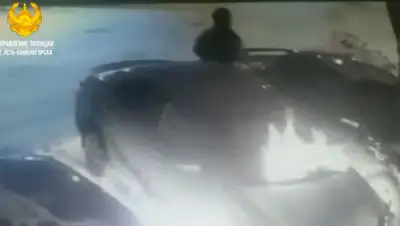 кадр из видео, фото - Новости Zakon.kz от 20.05.2020 18:46