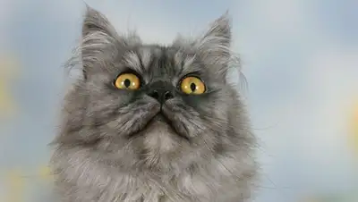 Zakon.kz, фото - Новости Zakon.kz от 05.03.2015 17:35