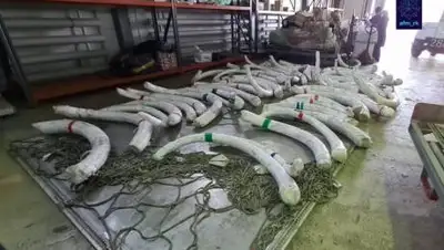 АФМ РК, фото - Новости Zakon.kz от 12.10.2021 13:23