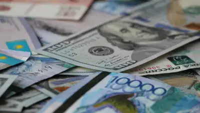 yandex.kz, фото - Новости Zakon.kz от 30.04.2020 11:10