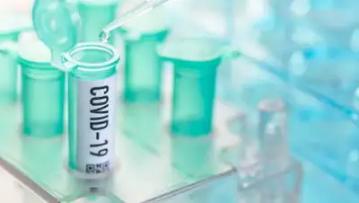 depositphotos, фото - Новости Zakon.kz от 15.09.2020 07:14