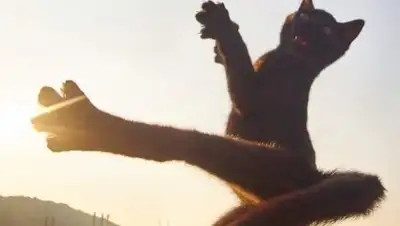 Zakon.kz, фото - Новости Zakon.kz от 03.11.2017 17:32