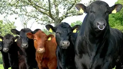 Zakon.kz, фото - Новости Zakon.kz от 04.07.2015 01:49