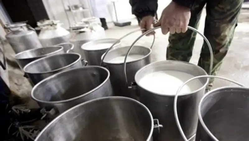 Булат Бакауов: В каждом селе должен быть свой пункт приема молока