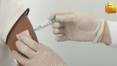 Zakon.kz, фото - Новости Zakon.kz от 29.01.2015 16:55