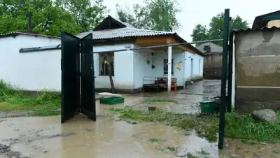 Пресс-служба акима Туркестанской области, фото - Новости Zakon.kz от 14.05.2020 14:13