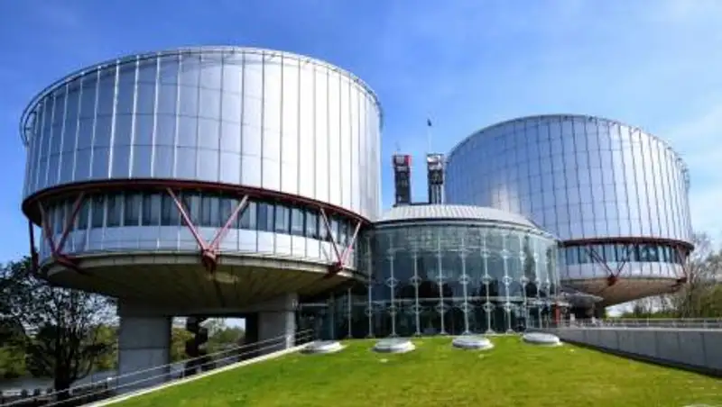 ЕСПЧ принял к рассмотрению жалобу Навального по его отравлению