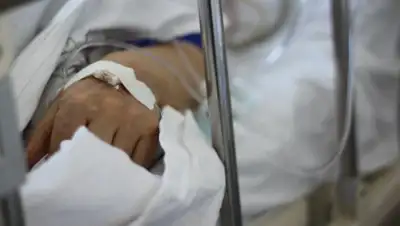 Almaty.tv, фото - Новости Zakon.kz от 25.07.2019 13:49