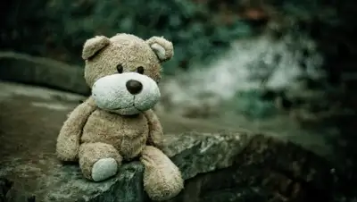 teamopenoffice.org, фото - Новости Zakon.kz от 19.09.2019 20:14