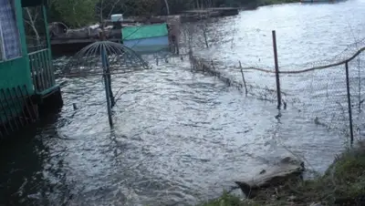 Zakon.kz, фото - Новости Zakon.kz от 16.08.2015 02:52