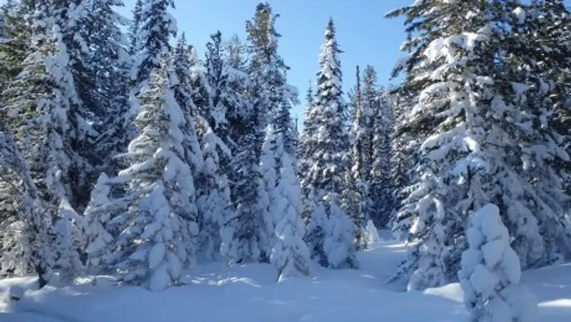 В пятницу в некоторых регионах Казахстана сохранится сильный мороз