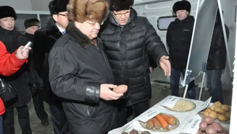 Недавно открывшееся овощехранилище уже поставляет тонны овощей на рынки столицы