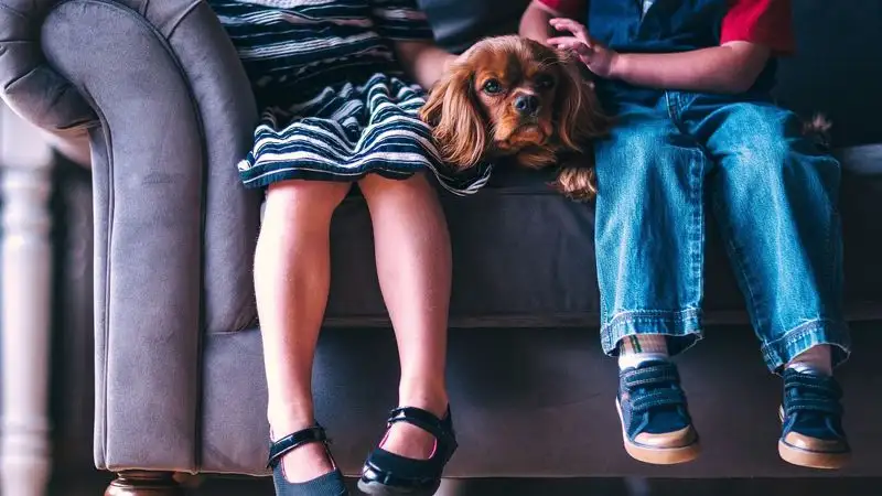 Медики рассказали, что необходимо соблюдать для здоровья и счастья ребенка