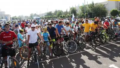 Zakon.kz, фото - Новости Zakon.kz от 31.08.2017 09:06