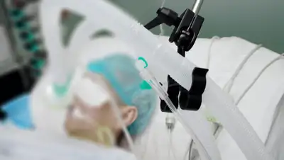 gazeta.ru, фото - Новости Zakon.kz от 09.06.2020 09:42