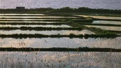 Zakon.kz, фото - Новости Zakon.kz от 12.01.2014 19:55