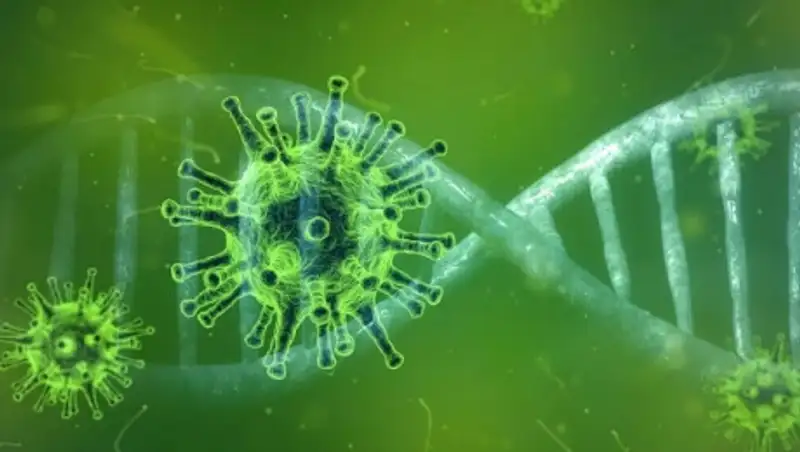 Сколько рожениц умерло от COVID-19 в Алматы