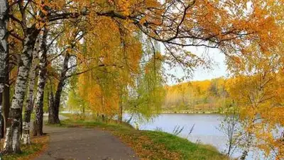 zhenskoeschastie, фото - Новости Zakon.kz от 29.09.2020 06:00