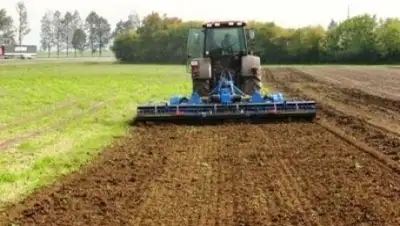 Violet.ru, фото - Новости Zakon.kz от 29.11.2017 11:13