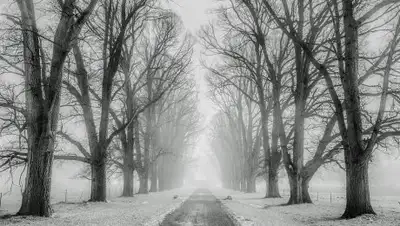 pixabay.com, фото - Новости Zakon.kz от 12.02.2019 23:08