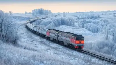 Пикабу, фото - Новости Zakon.kz от 06.02.2019 09:47