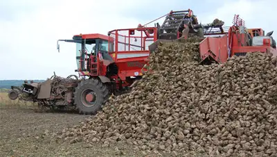 Zakon.kz, фото - Новости Zakon.kz от 16.11.2014 16:17