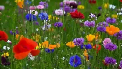 Zakon.kz, фото - Новости Zakon.kz от 04.06.2015 15:27