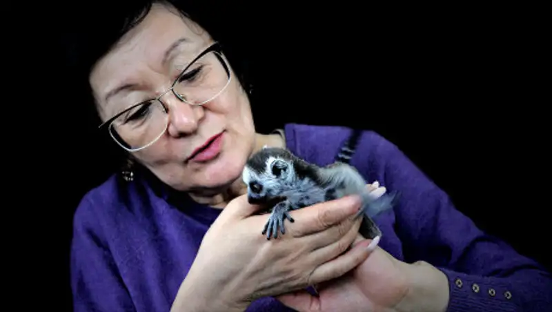 Милые фото малышей алматинского зоопарка